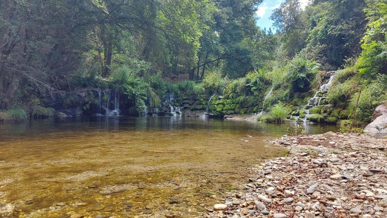 Sitio Dos Cogumelos Alojamentos أمارانتي المظهر الخارجي الصورة